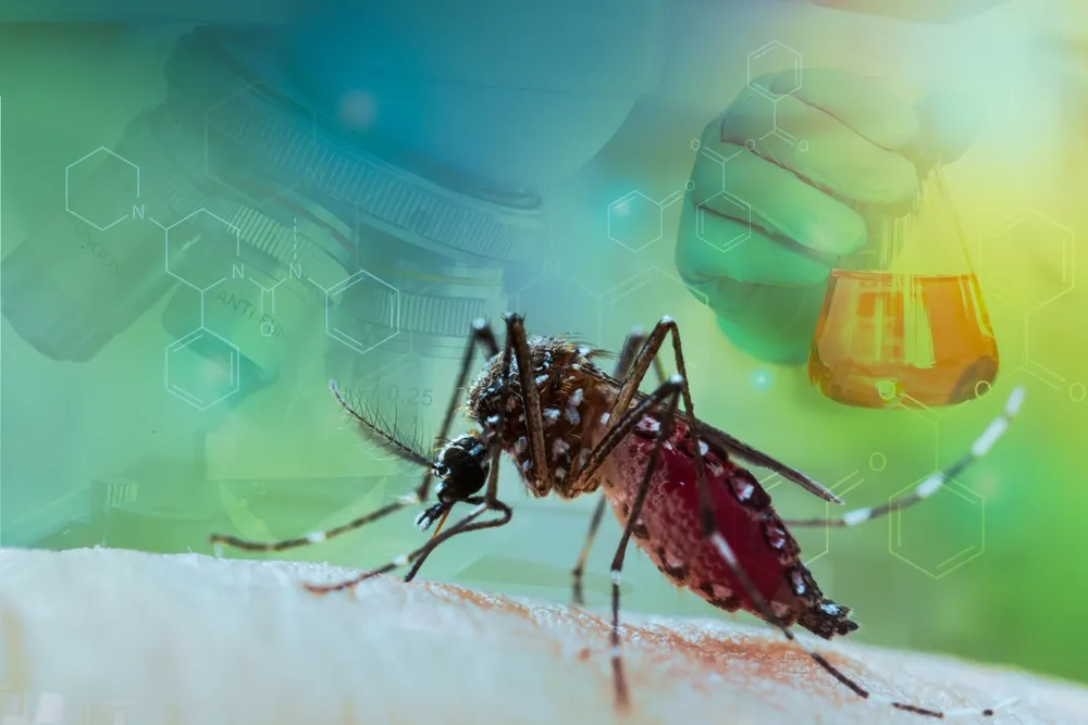 Prevenção a dengue